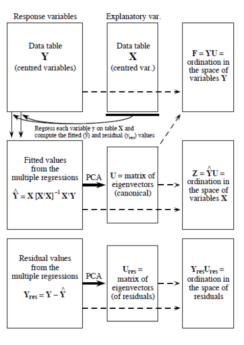 Le processus de computation d'une RDA, tirée de Legendre & Legendre (2012).